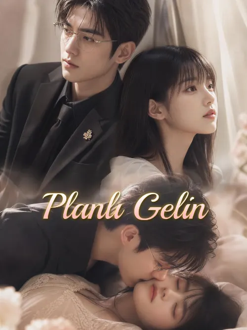 Planlı Gelin afişi