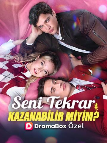 Seni Tekrar Kazanabilir Miyim? afişi