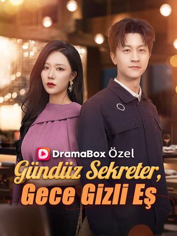 Gündüz Sekreter, Gece Gizli Eş afişi