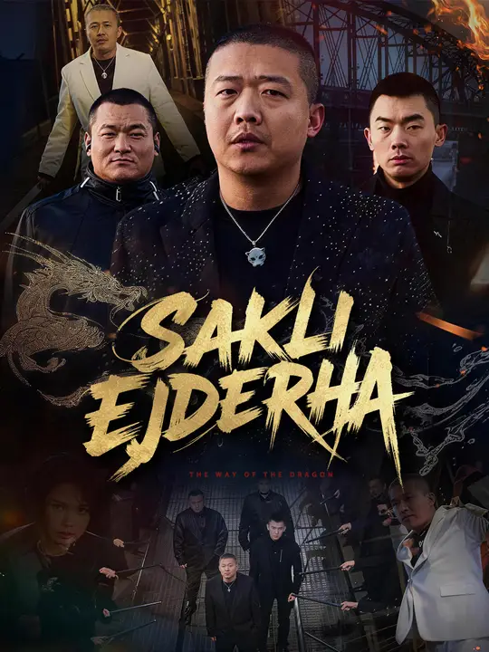 Saklı Ejderha afişi