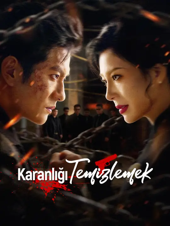 Karanlığı Temizlemek afişi