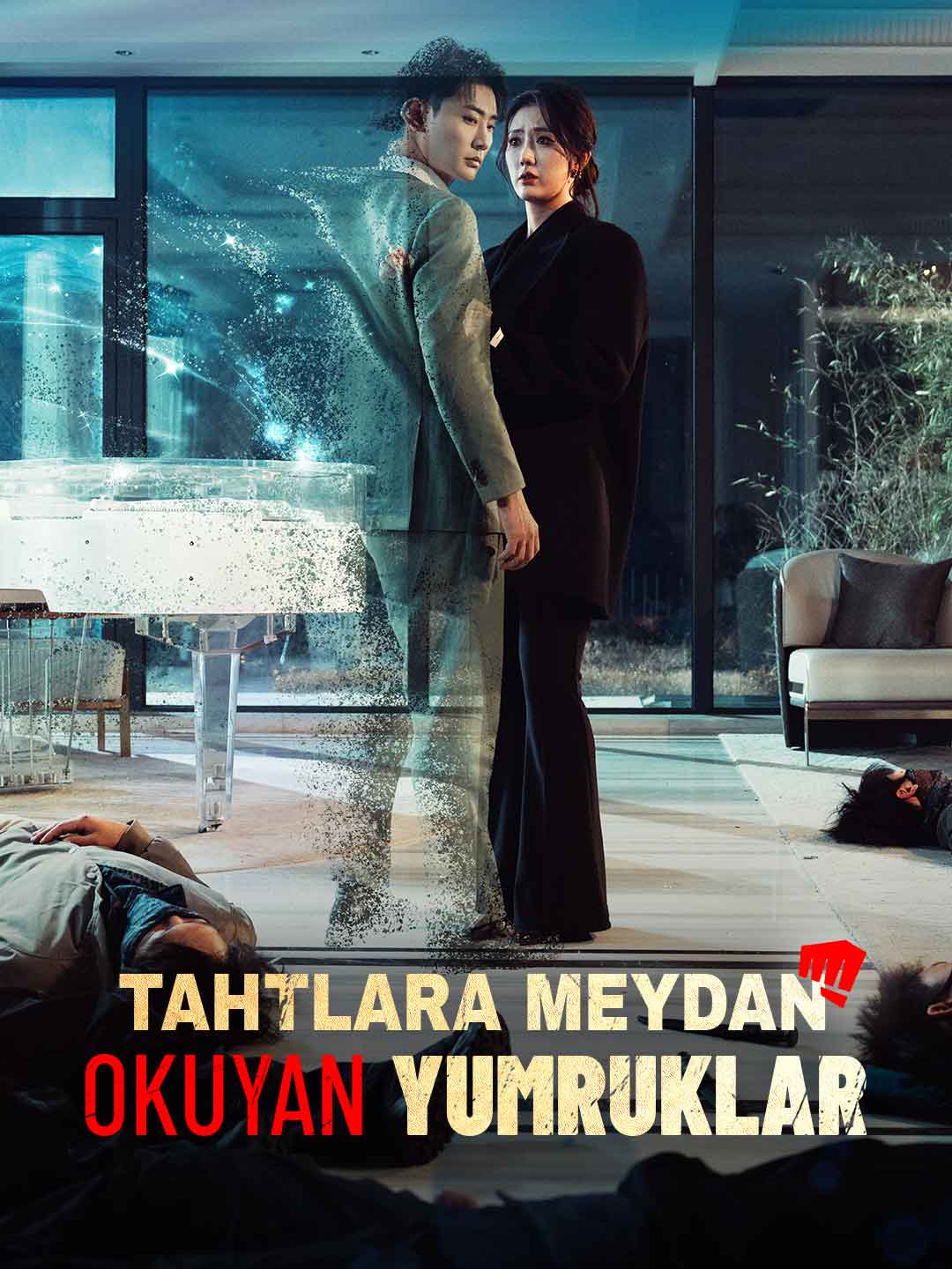 TAHTLARA MEYDAN OKUYAN YUMRUKLAR afişi