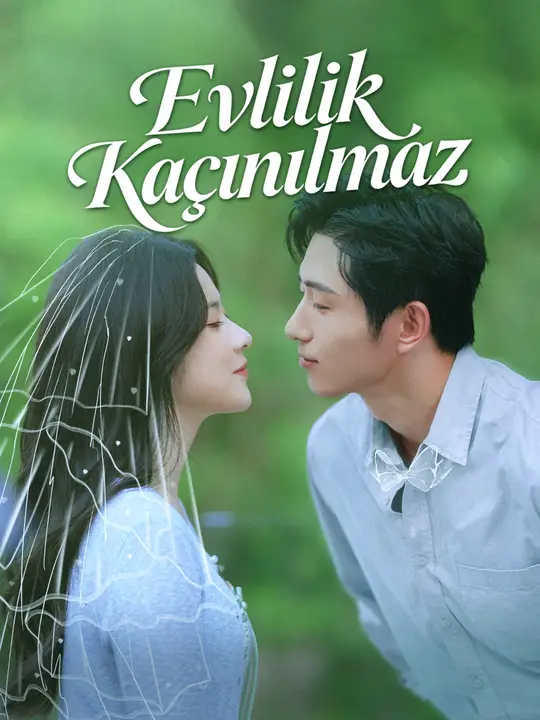 Evlilik Kaçınılmaz afişi