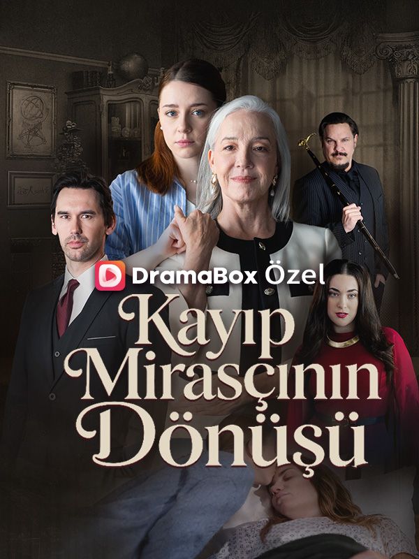 (Dublajlı) Kayıp Mirasçının Dönüşü afişi