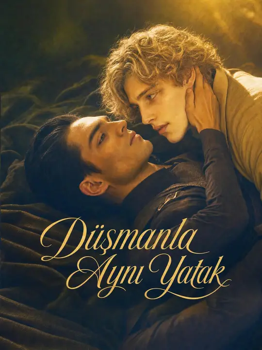 Düşmanla Aynı Yatak afişi