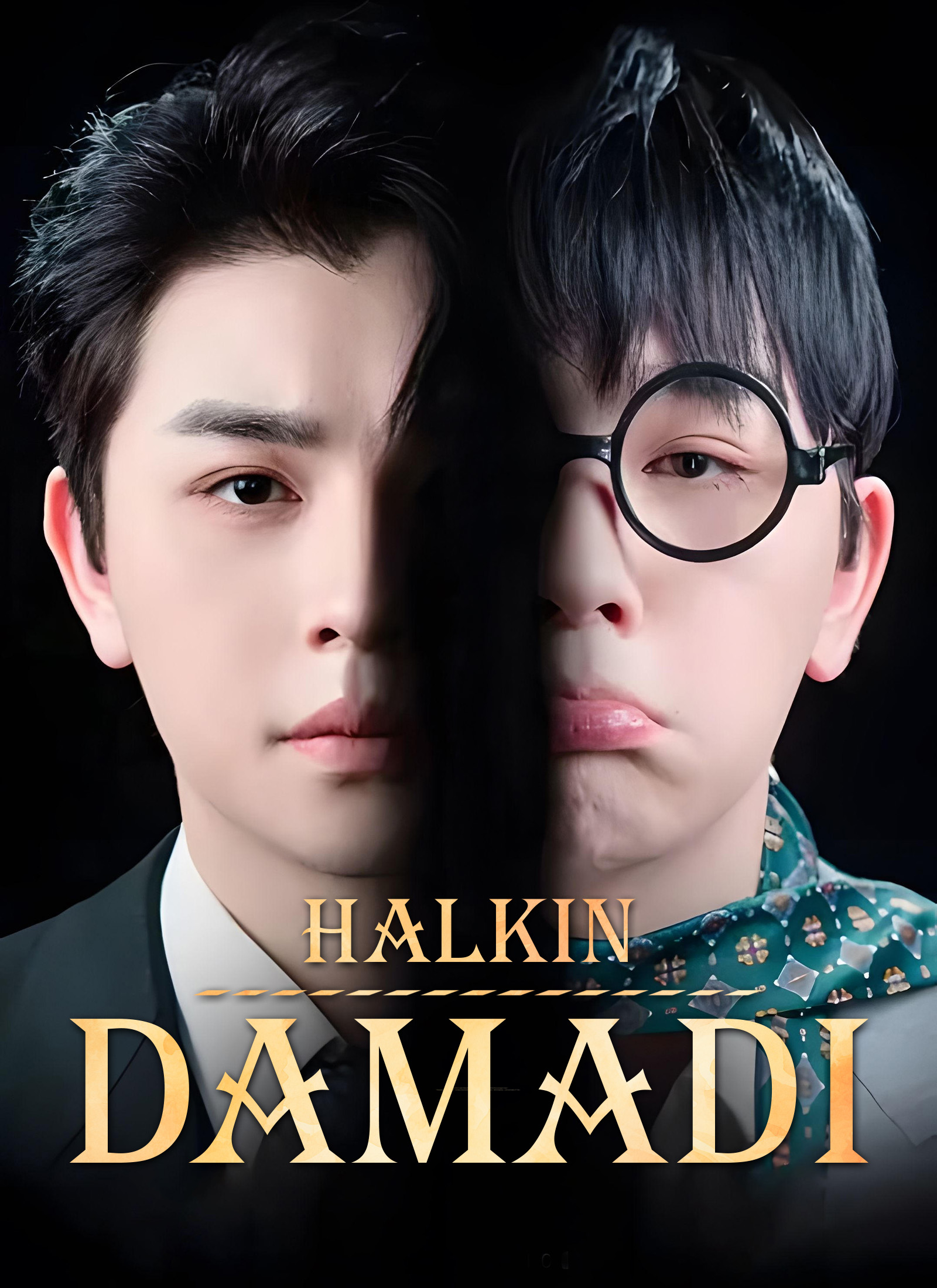 Halkın Damadı afişi