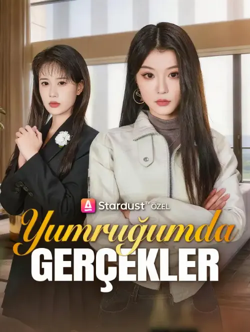 Yumruğumda Gerçekler afişi